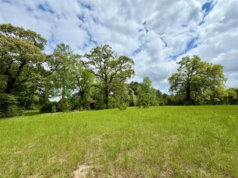 280 Waka Livingston, TX 77351