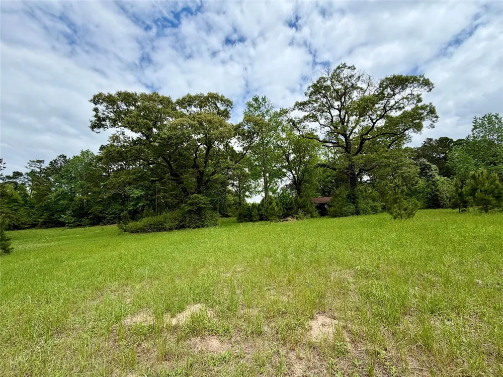 280 Waka Livingston, TX 77351