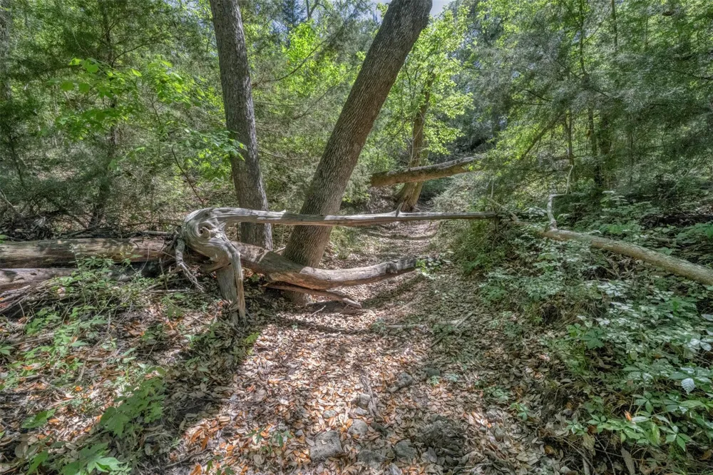 Cedar Hill Road Brenham, TX 77833