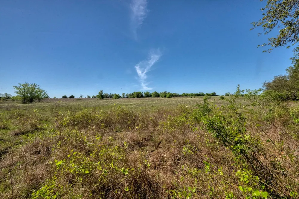 Cedar Hill Road Brenham, TX 77833