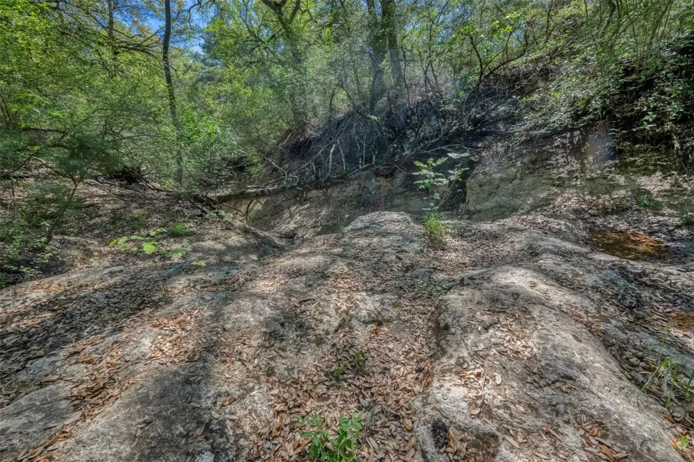 Cedar Hill Road Brenham, TX 77833