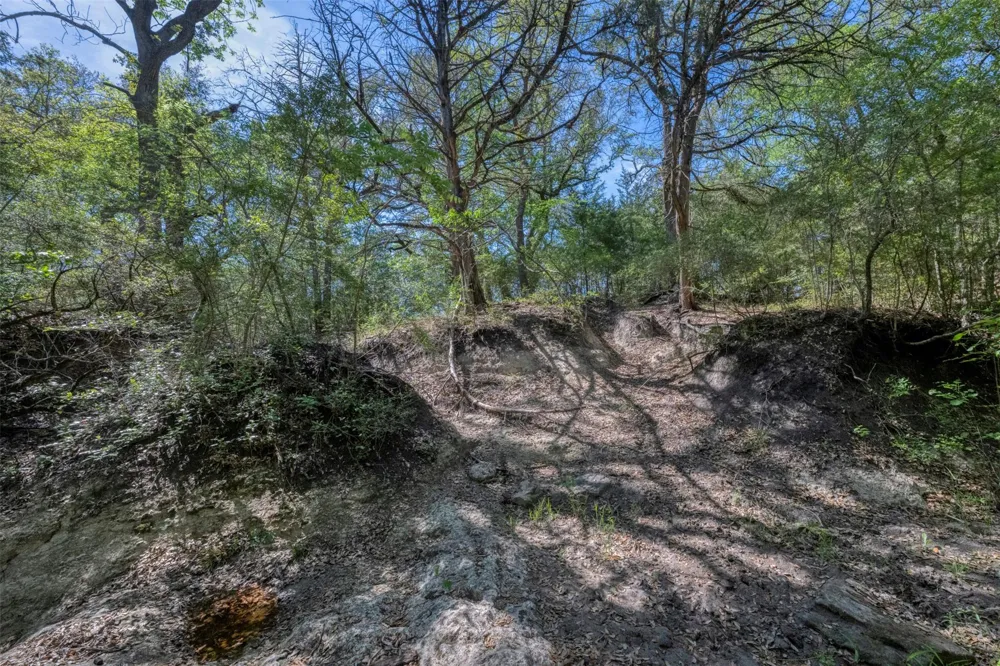 Cedar Hill Road Brenham, TX 77833