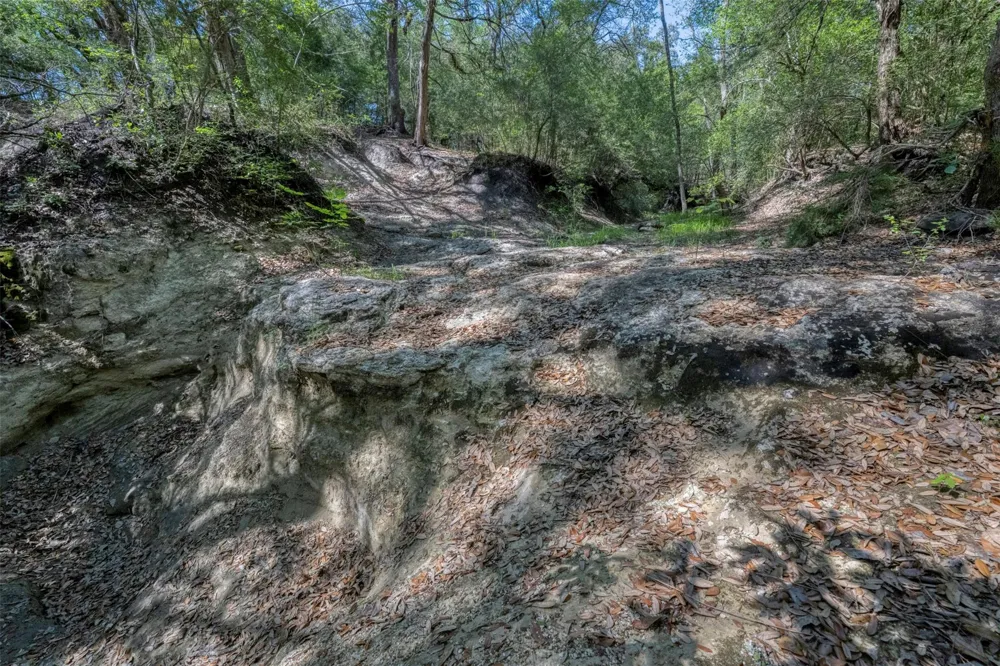Cedar Hill Road Brenham, TX 77833