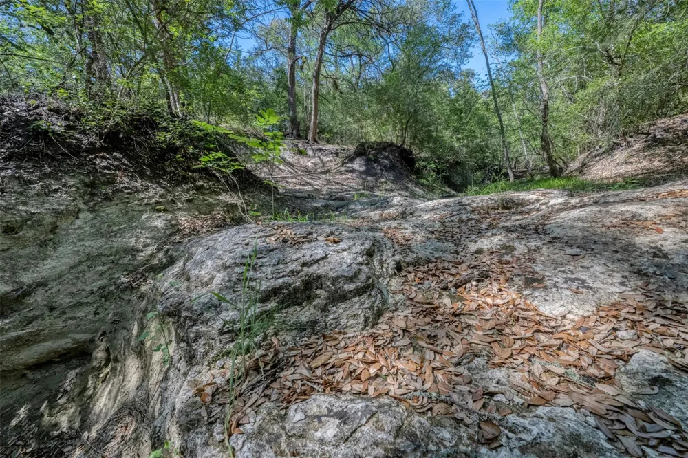 Cedar Hill Road Brenham, TX 77833