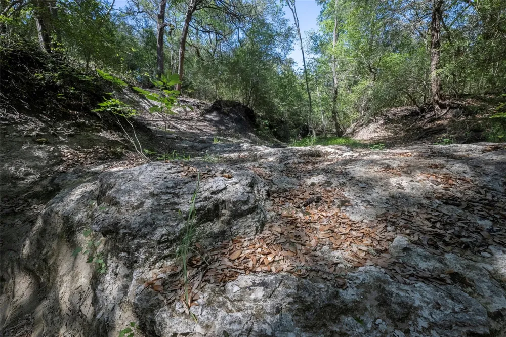 Cedar Hill Road Brenham, TX 77833