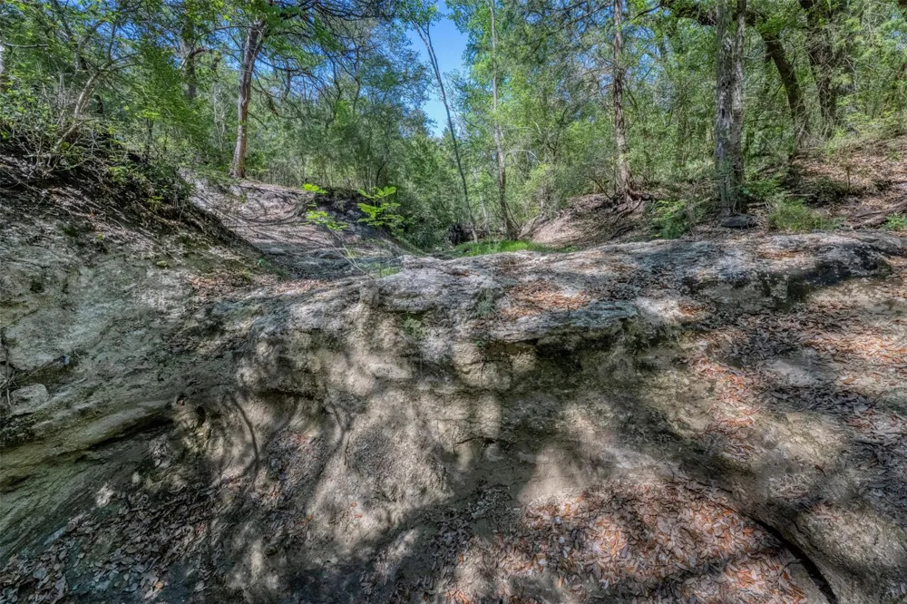 Cedar Hill Road Brenham, TX 77833