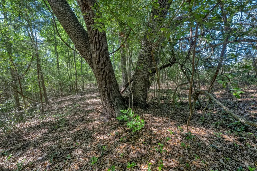 Cedar Hill Road Brenham, TX 77833
