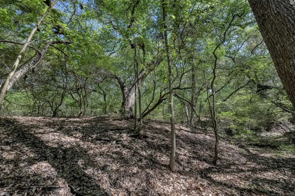 Cedar Hill Road Brenham, TX 77833