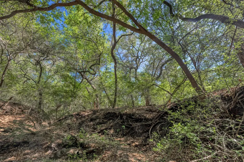 Cedar Hill Road Brenham, TX 77833