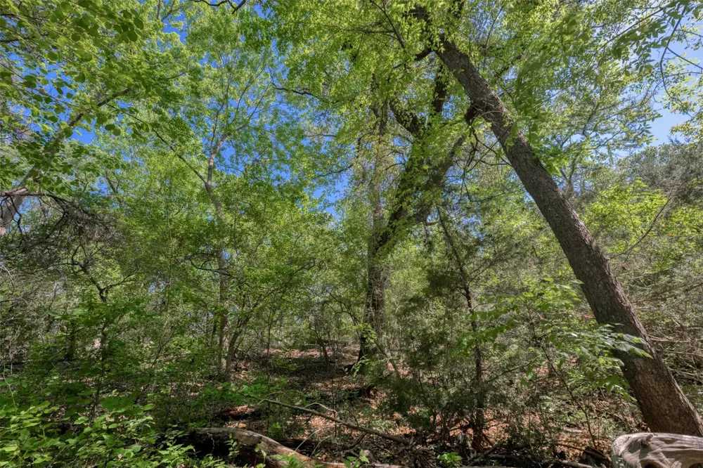 Cedar Hill Road Brenham, TX 77833