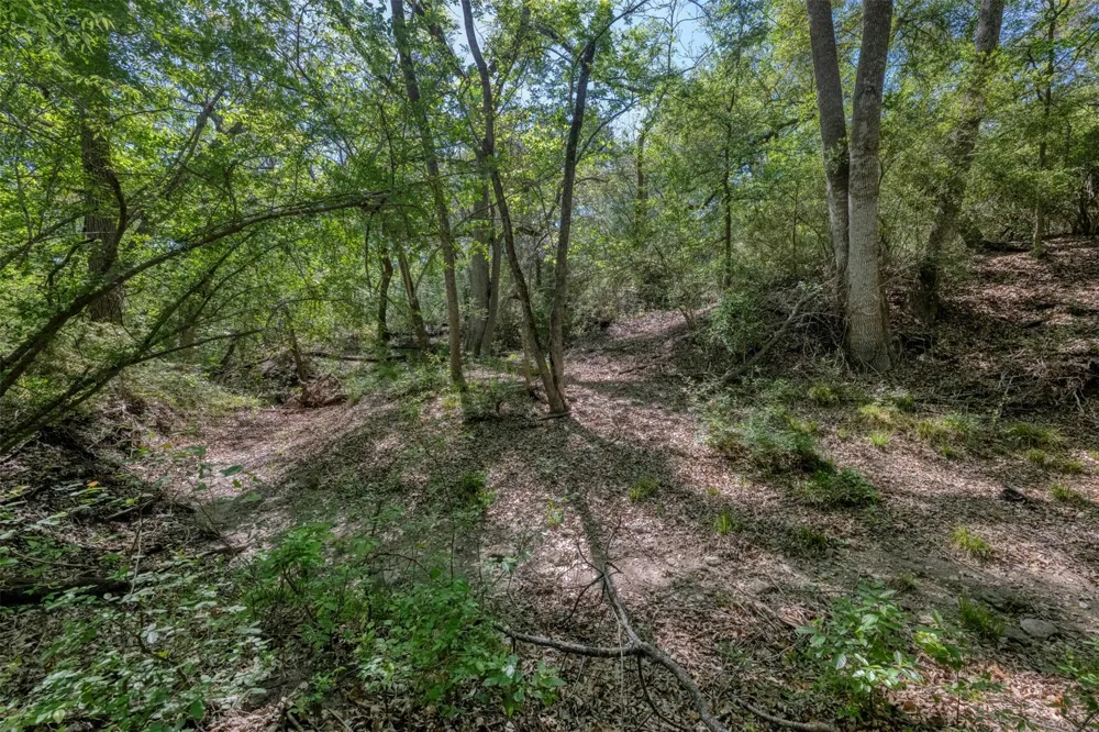 Cedar Hill Road Brenham, TX 77833