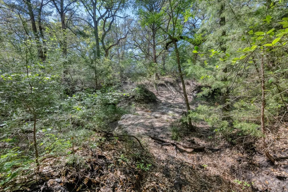 Cedar Hill Road Brenham, TX 77833