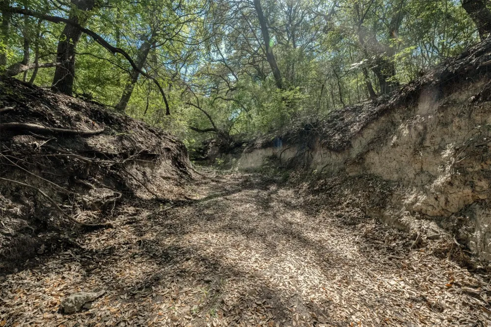 Cedar Hill Road Brenham, TX 77833