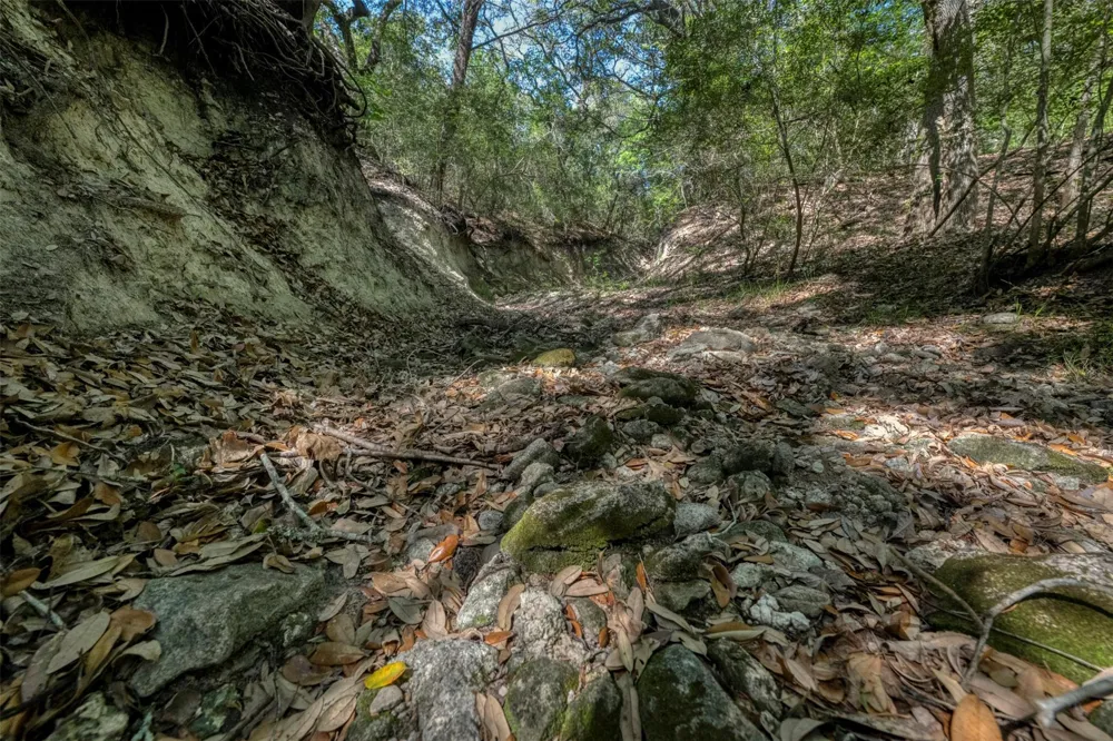 Cedar Hill Road Brenham, TX 77833