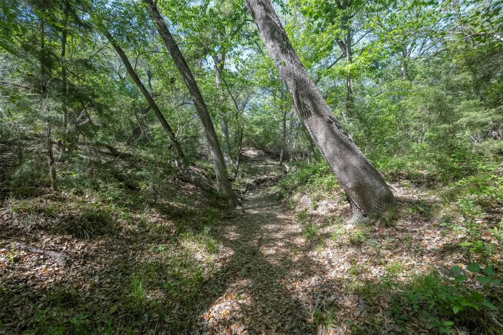 Cedar Hill Road Brenham, TX 77833