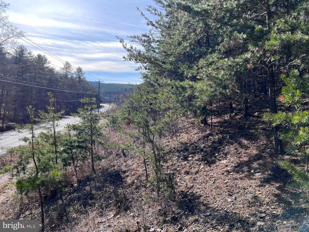 WINCHESTER GRADE ROAD Berkeley Springs, WV 25411