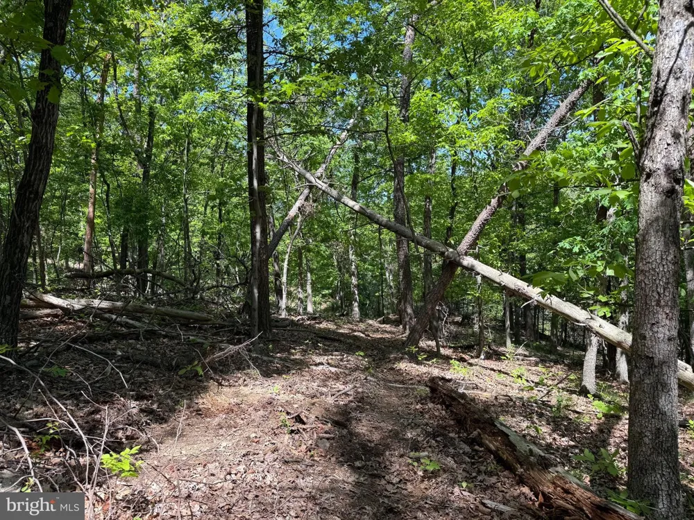 WINCHESTER GRADE ROAD Berkeley Springs, WV 25411