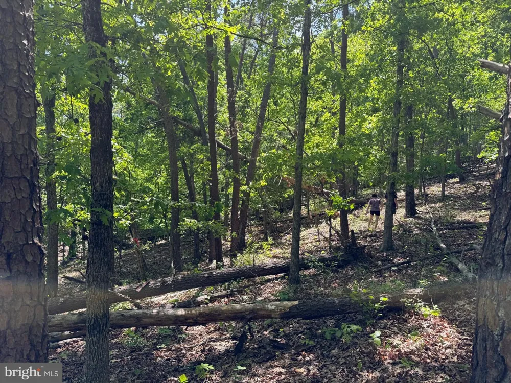 WINCHESTER GRADE ROAD Berkeley Springs, WV 25411