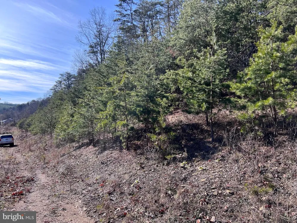 WINCHESTER GRADE ROAD Berkeley Springs, WV 25411