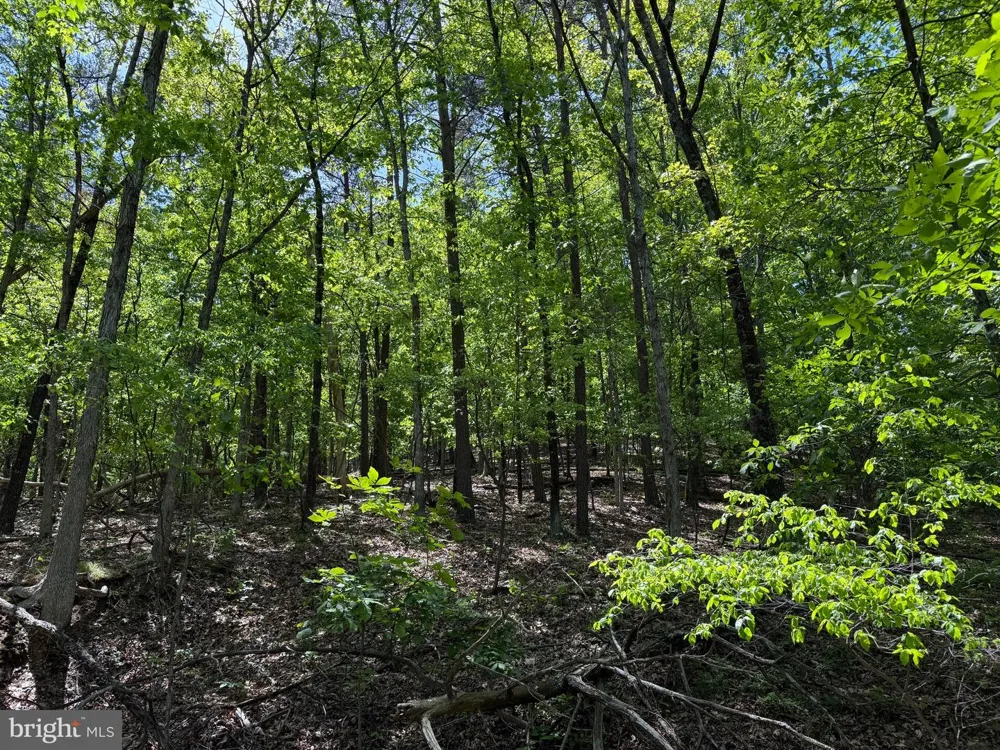 WINCHESTER GRADE ROAD Berkeley Springs, WV 25411