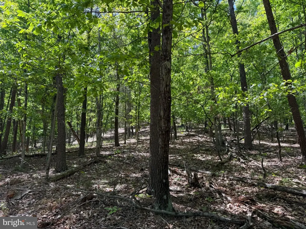 WINCHESTER GRADE ROAD Berkeley Springs, WV 25411