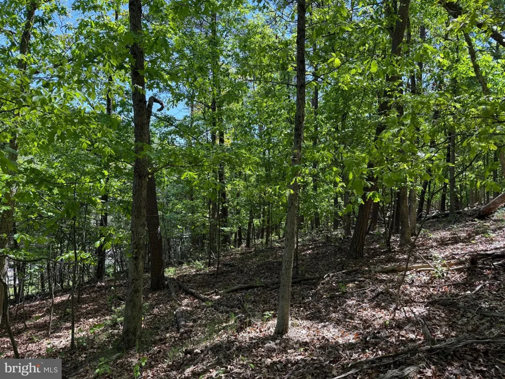 WINCHESTER GRADE ROAD Berkeley Springs, WV 25411