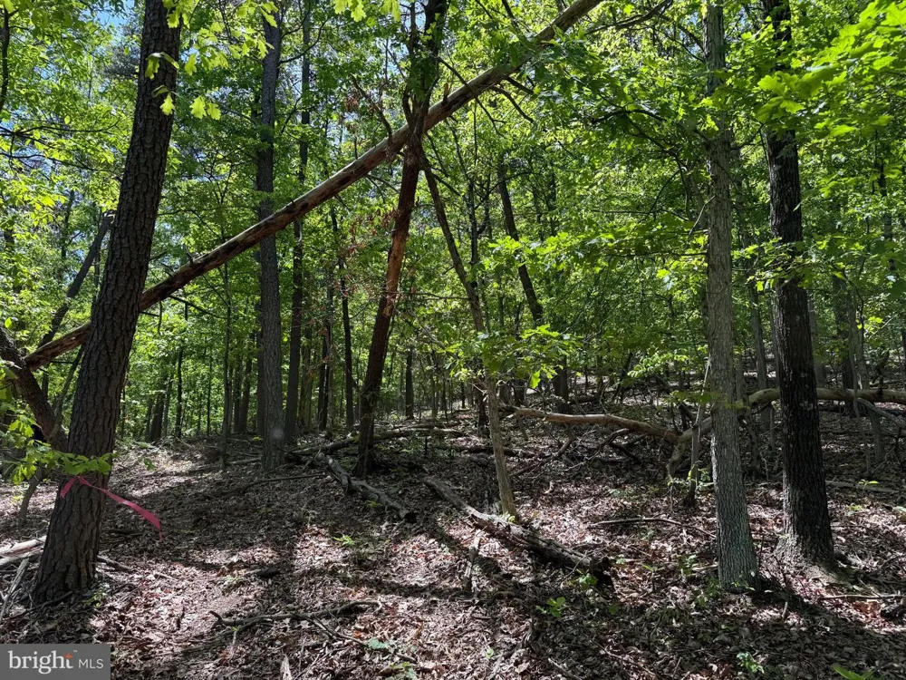 WINCHESTER GRADE ROAD Berkeley Springs, WV 25411