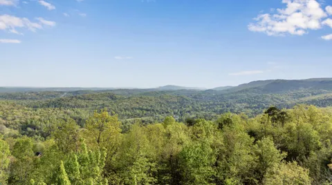 Bluff Ledge Trail