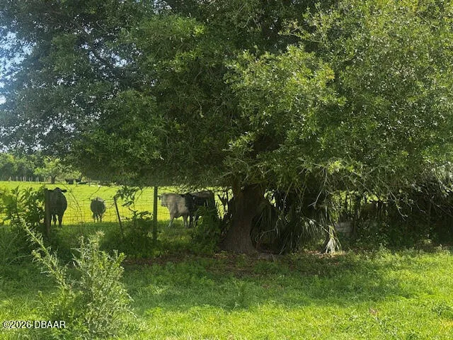 664 Tymber Creek Road Ormond Beach, FL 32174