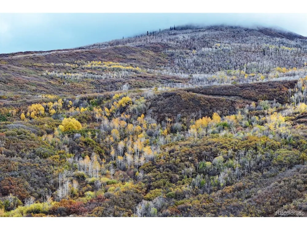 10822 60 3/4 ROAD Collbran, CO 81624