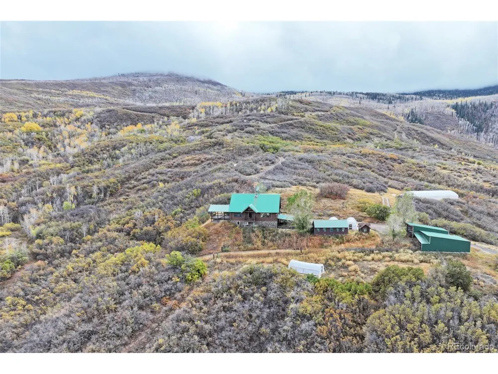 10822 60 3/4 ROAD Collbran, CO 81624