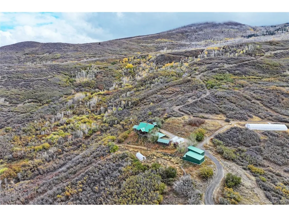 10822 60 3/4 ROAD Collbran, CO 81624