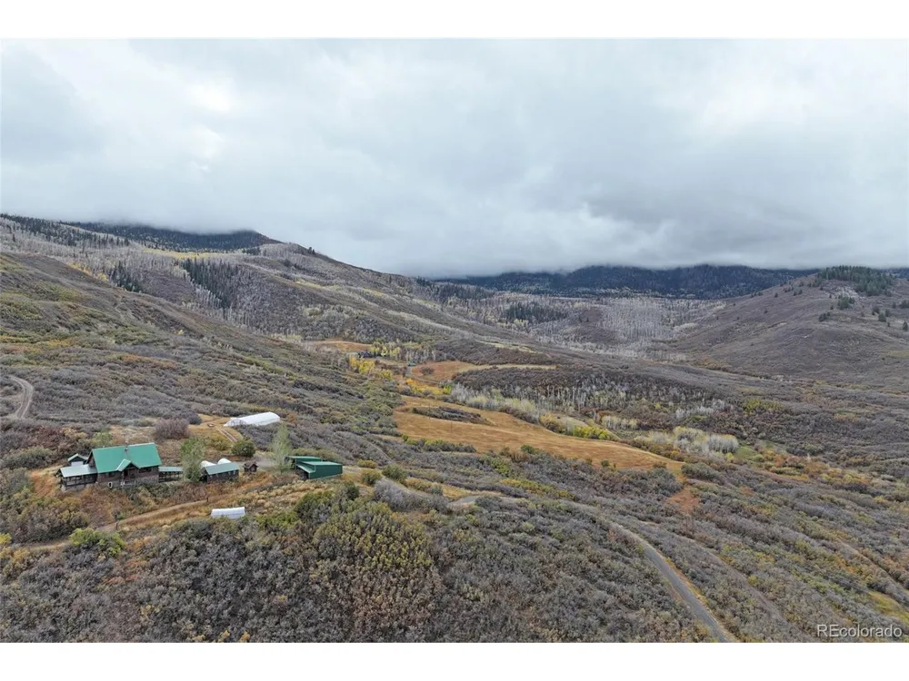 10822 60 3/4 ROAD Collbran, CO 81624