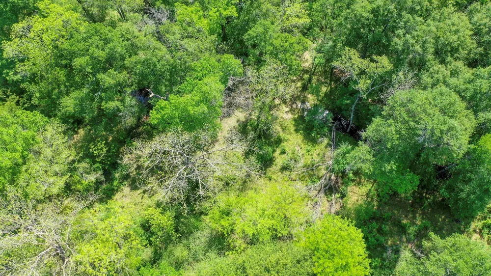 7000 Fm 3060 Midway, TX 75852