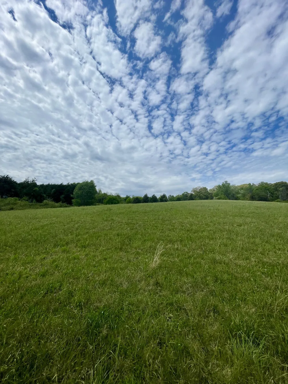 Cottonport Road Decatur, TN 37322