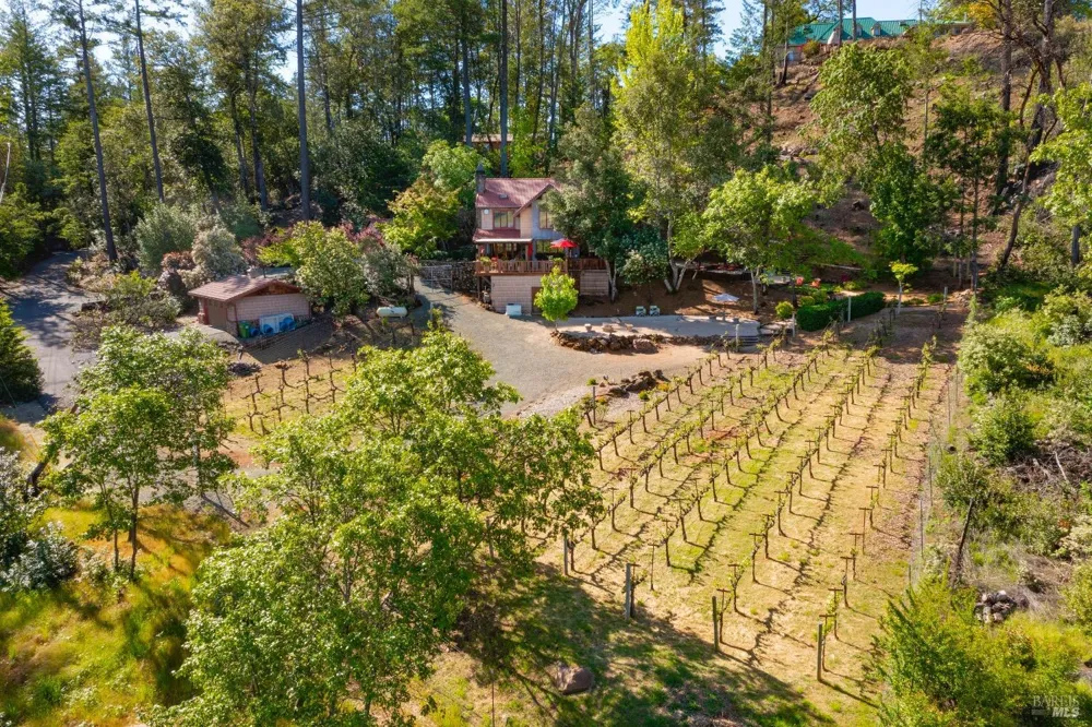 4034 Spring Mountain Road St. Helena, CA 94574