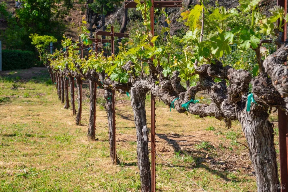 4034 Spring Mountain Road St. Helena, CA 94574