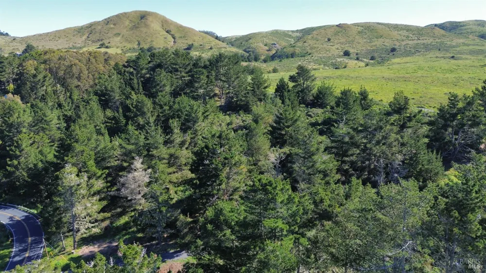 1534 Highway 1 Bodega Bay, CA 94923
