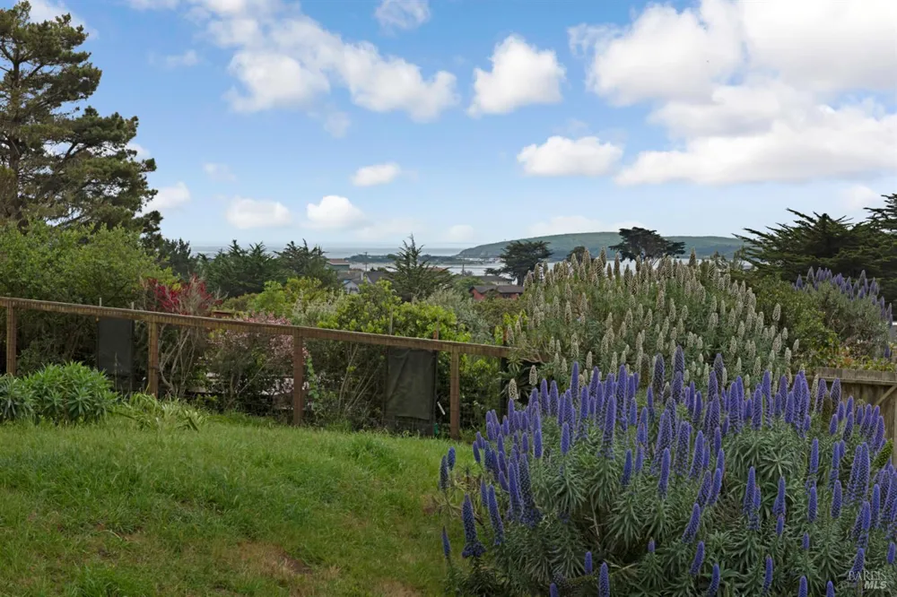 1534 Highway 1 Bodega Bay, CA 94923