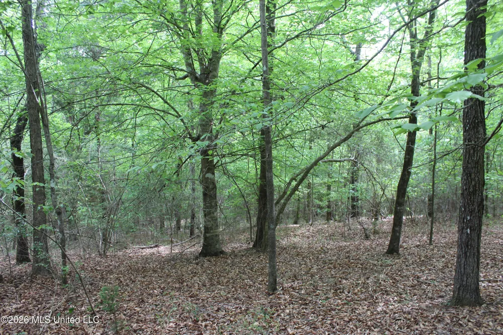 Charlie Boyd Road Jayess, MS 39641