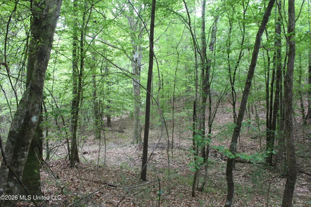 Charlie Boyd Road Jayess, MS 39641