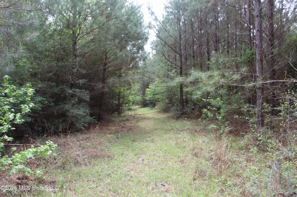 Charlie Boyd Road Jayess, MS 39641