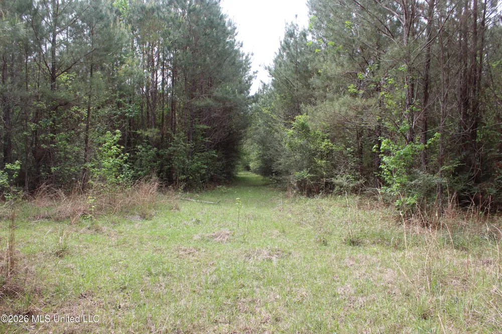 Charlie Boyd Road Jayess, MS 39641