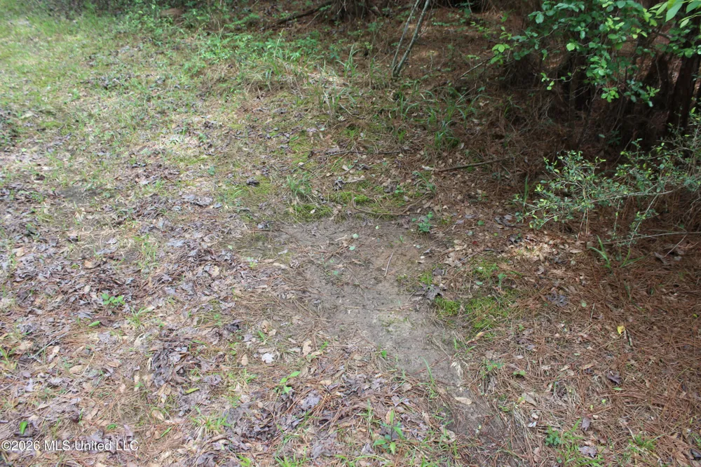 Charlie Boyd Road Jayess, MS 39641