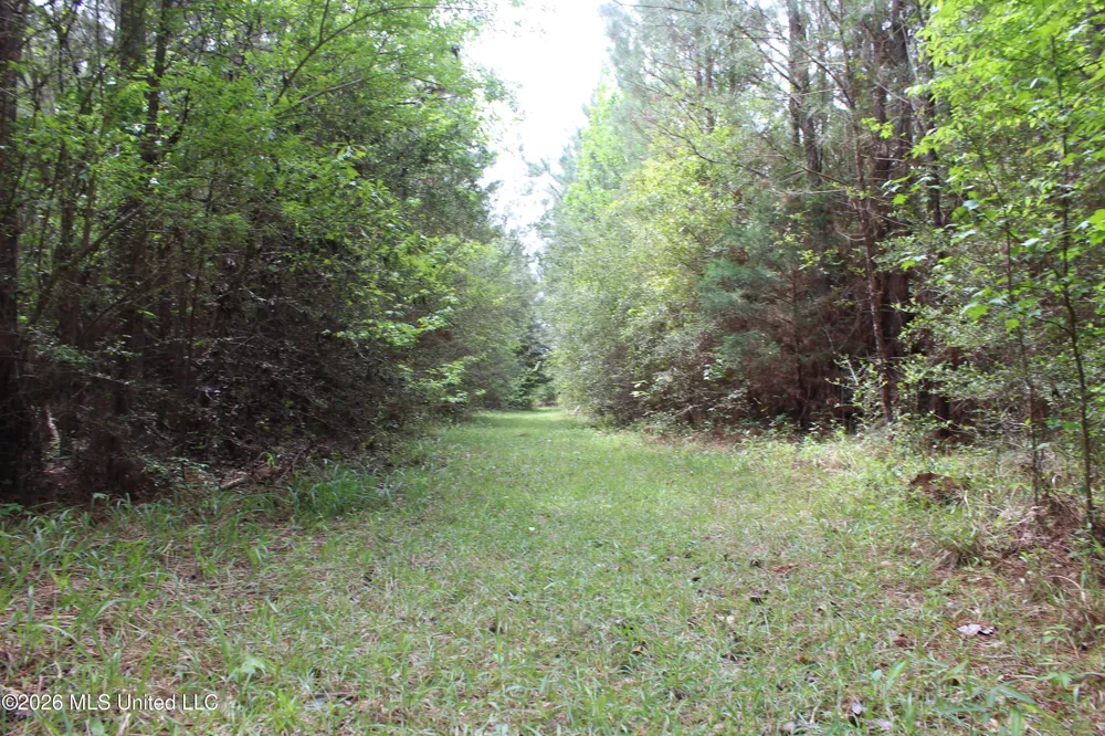 Charlie Boyd Road Jayess, MS 39641