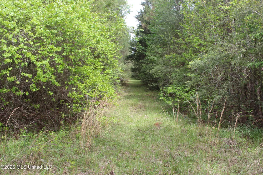 Charlie Boyd Road Jayess, MS 39641