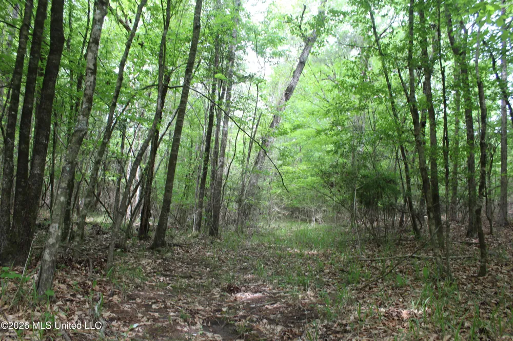 Charlie Boyd Road Jayess, MS 39641