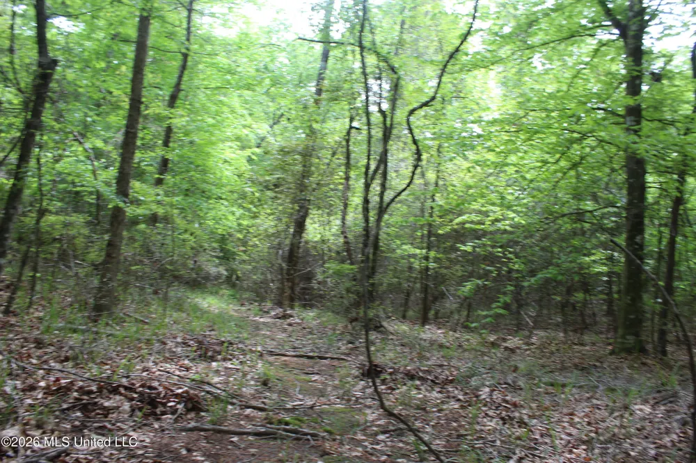 Charlie Boyd Road Jayess, MS 39641