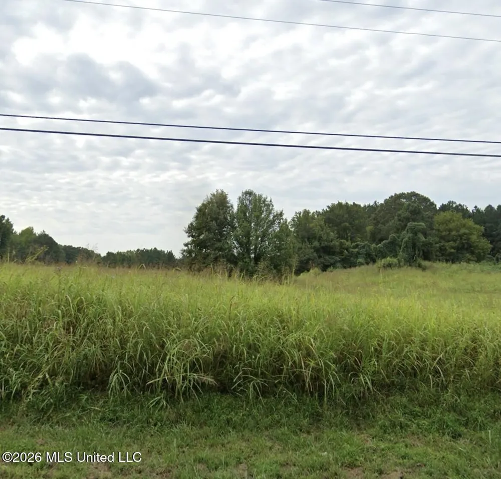 47 Dean Road Lake Cormorant, MS 38641