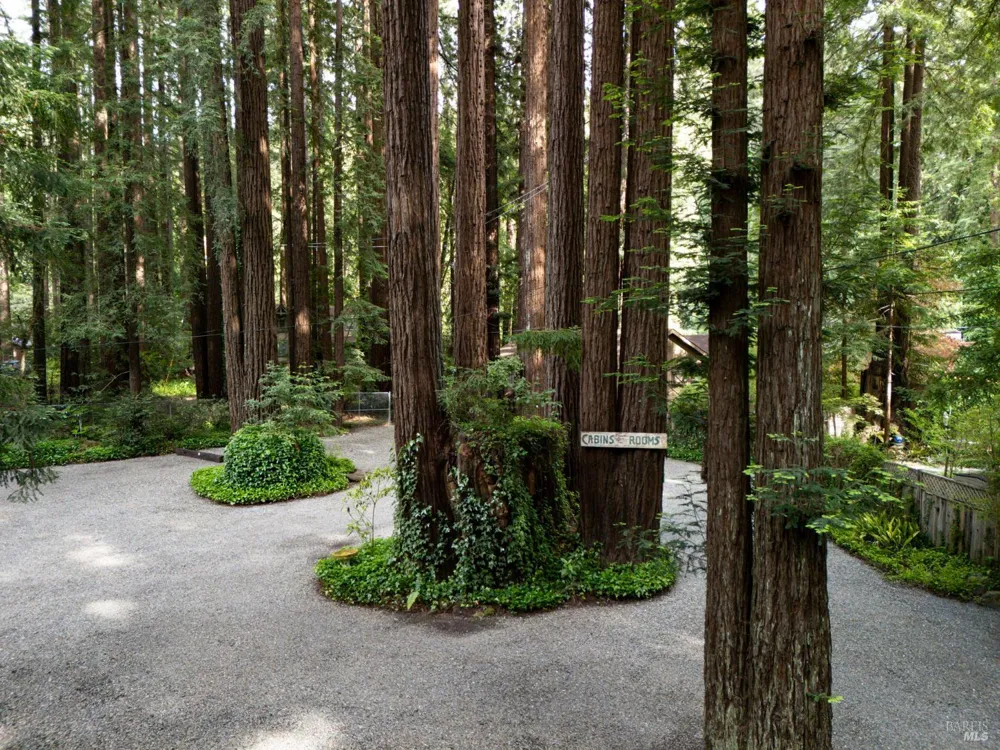 18 Wildwood Lane Cazadero, CA 95421